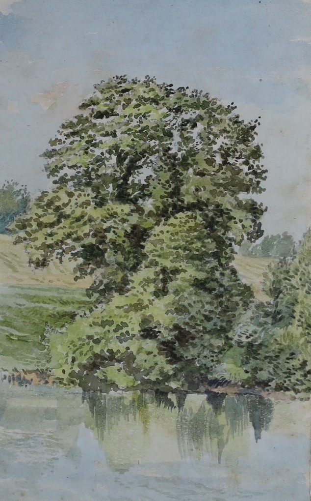 Clark Rampling (c.1850), An oak by a pool Hatton Water, Lancashire, watercolour, 13 x 8.25cm